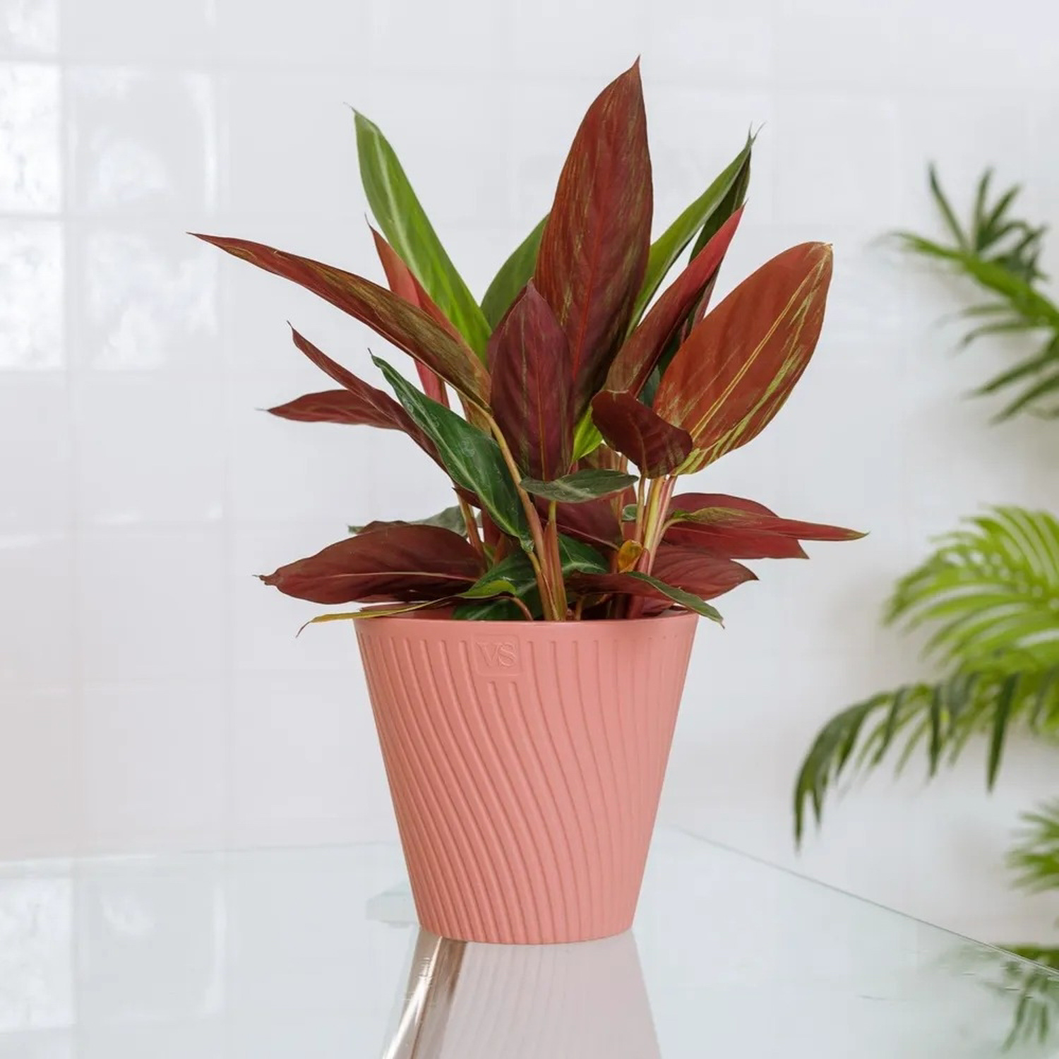 Кашпо пластм. "Луи" 1,2л d верха 140мм h129мм со вставкой Пудра AML-1,2-06 ("VipSet") *1/30