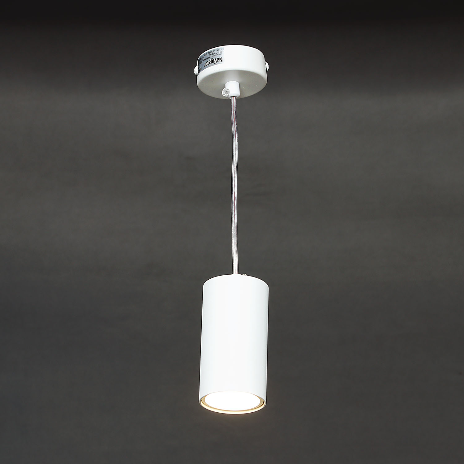 Светильник подвесной (спот) NFS-P-001-01 GU10 93353   *1/50