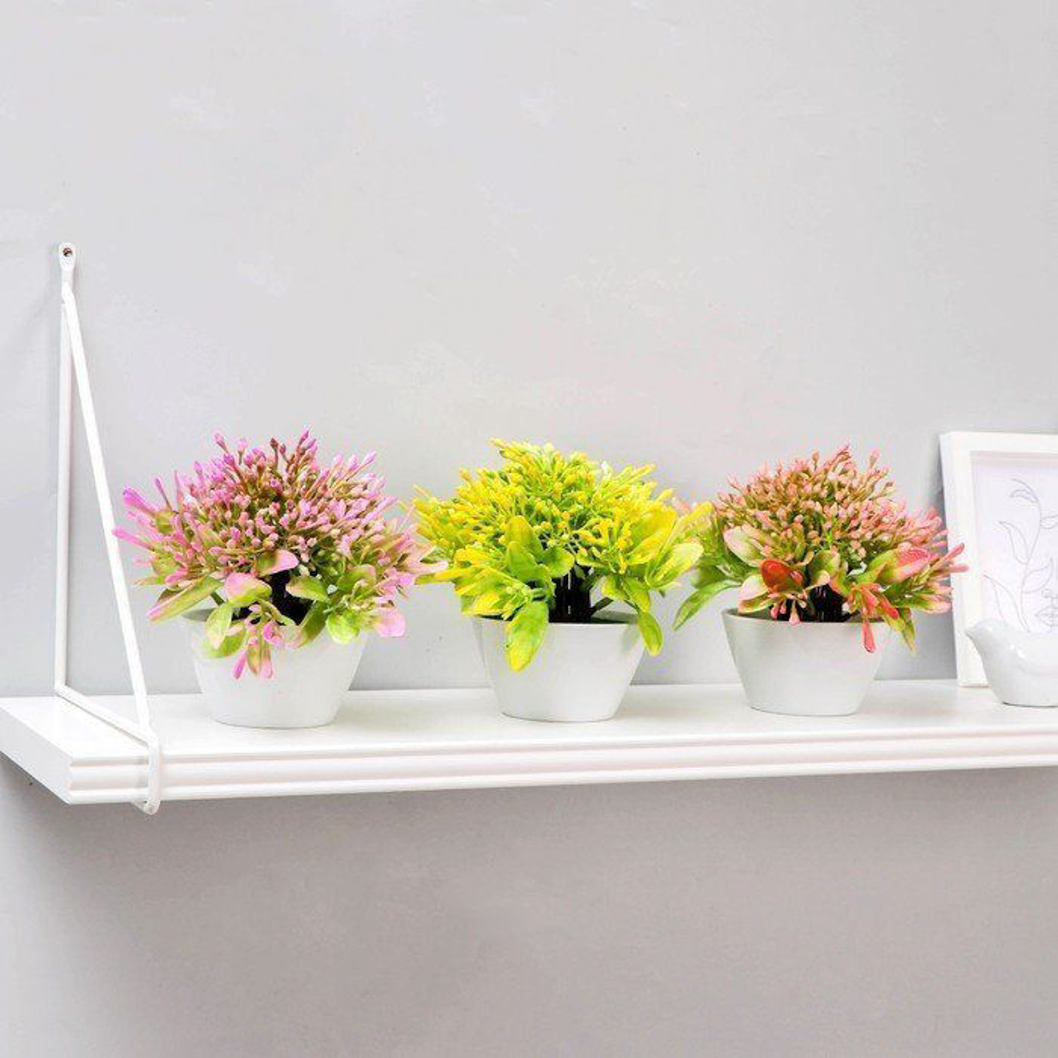 Бонсай в горшке "Горечавка" 10х15 см, микс   5201941