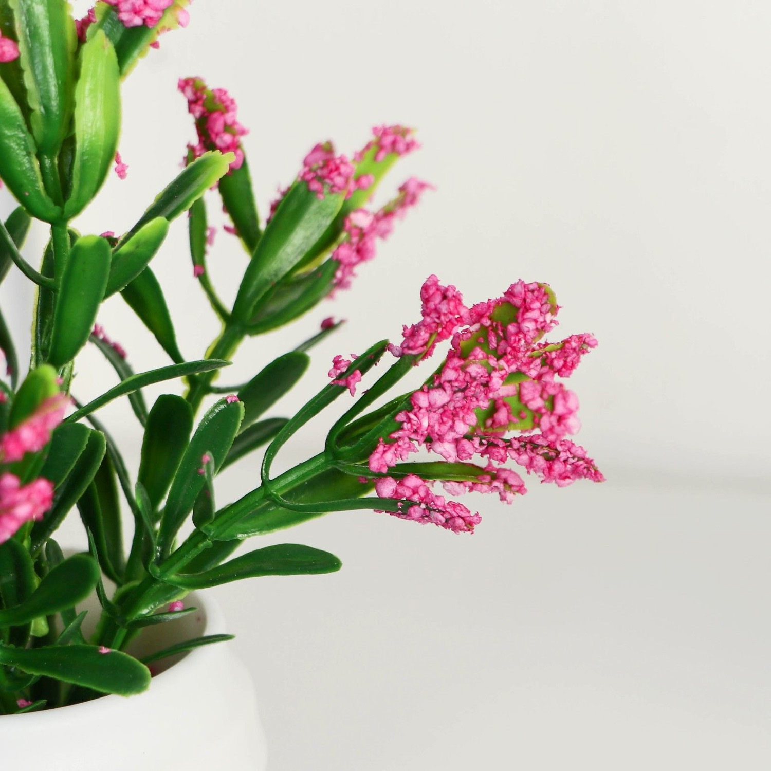 Бонсай в горшке "Крассула" 5,5х11 см, микс   9789745