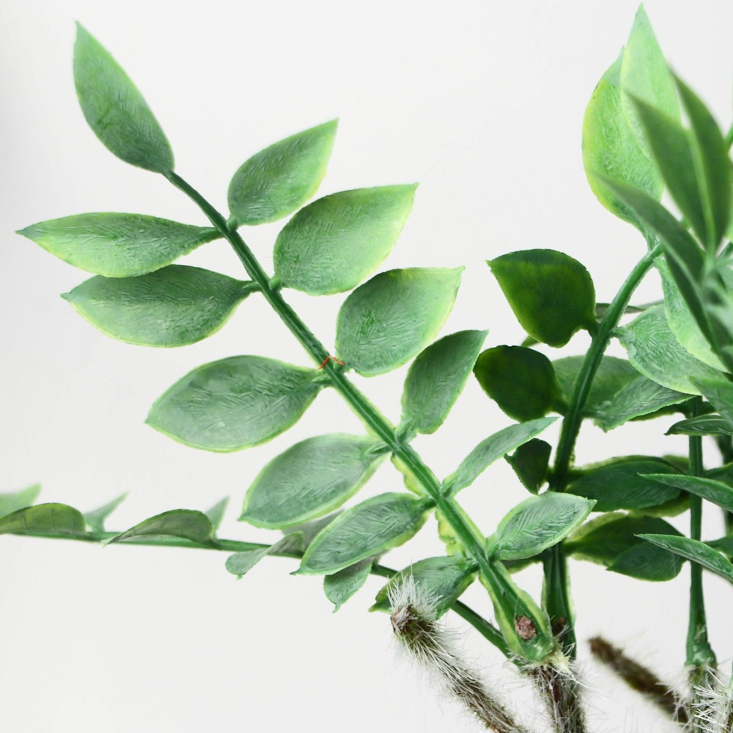 Бонсай в горшке "Замиокулькас" 8,5х22 см,    9789754