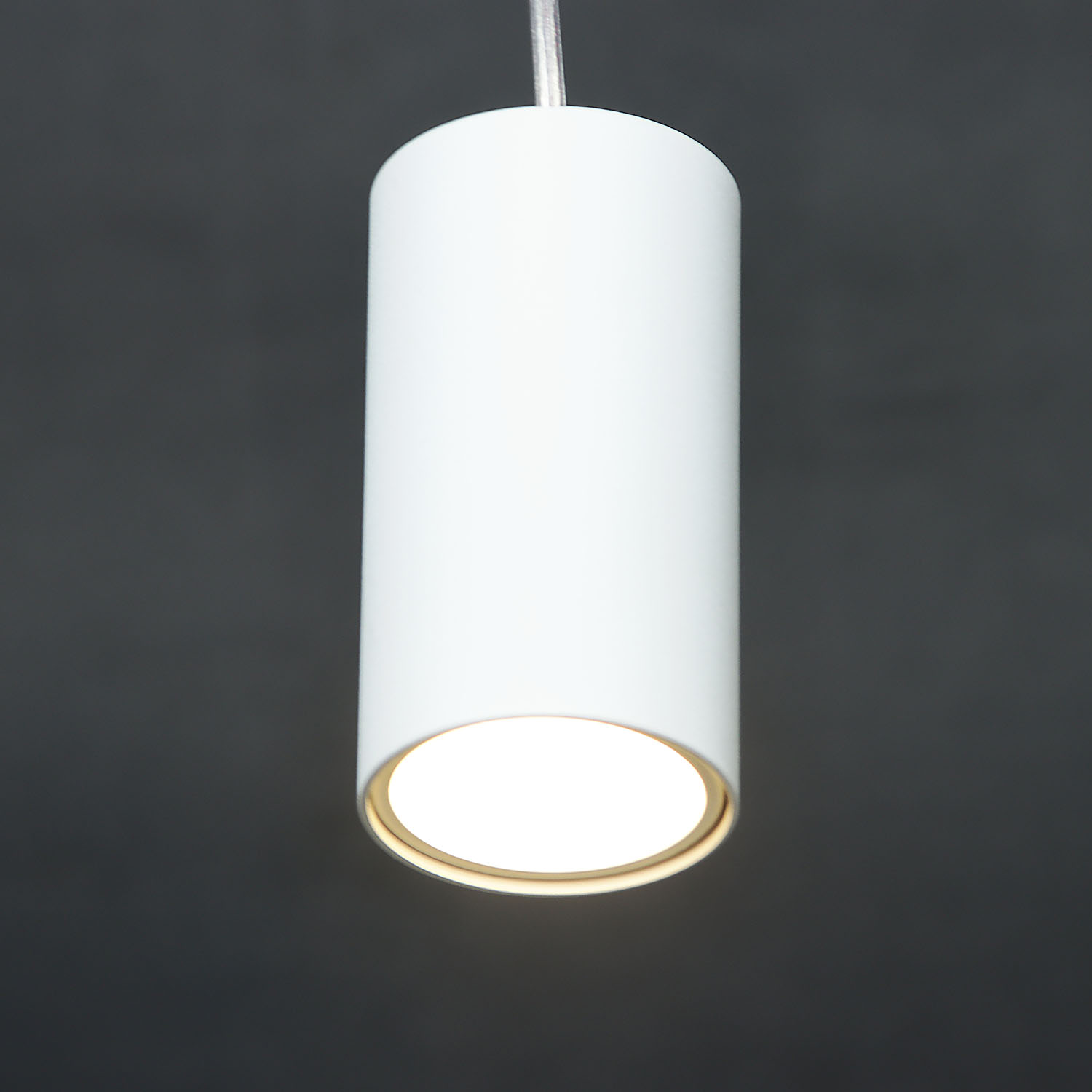 Светильник подвесной (спот) NFS-P-001-01 GU10 93353   *1/50