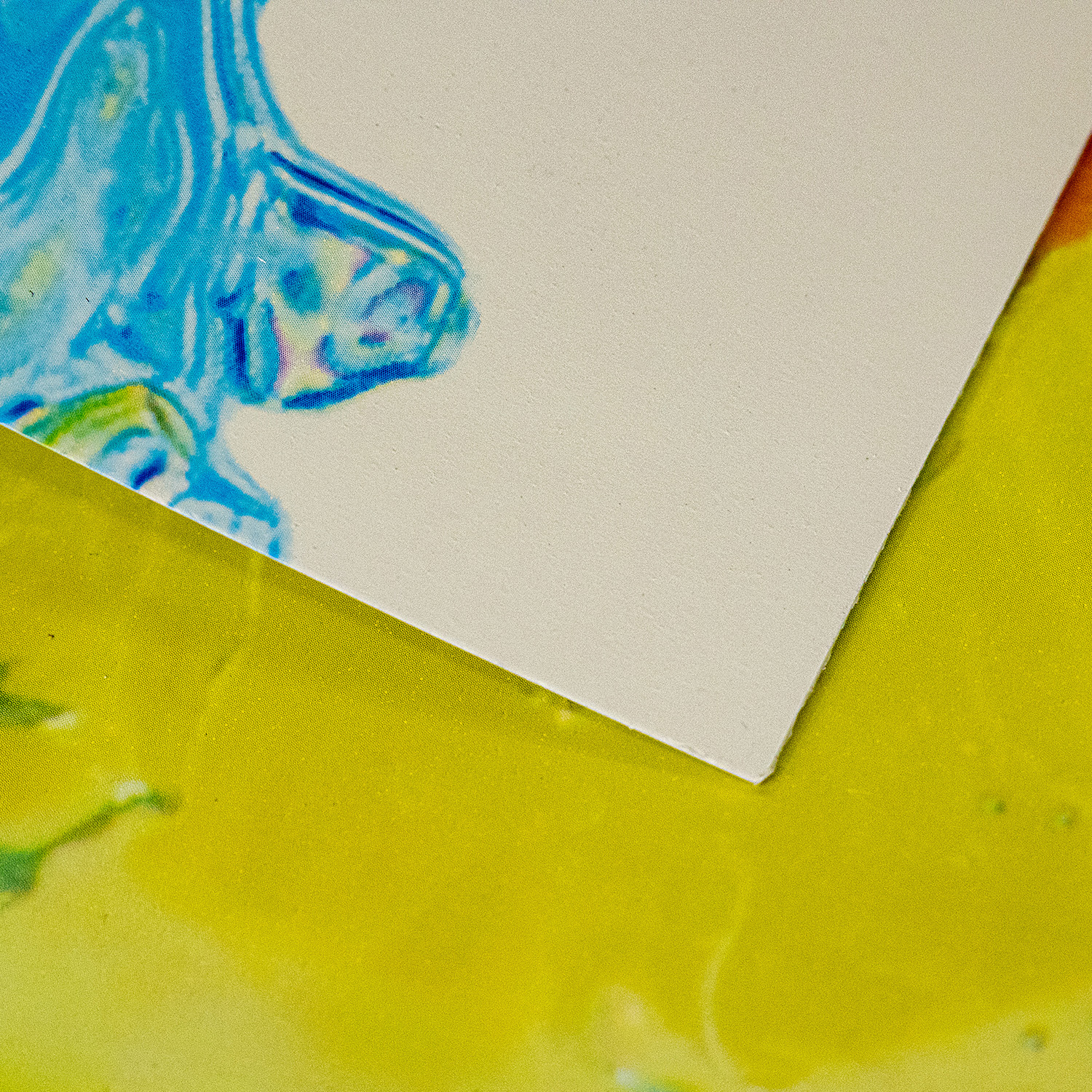 Панель АБС "Фрукты в воде" (фартук) (3,0*0,6м) *1