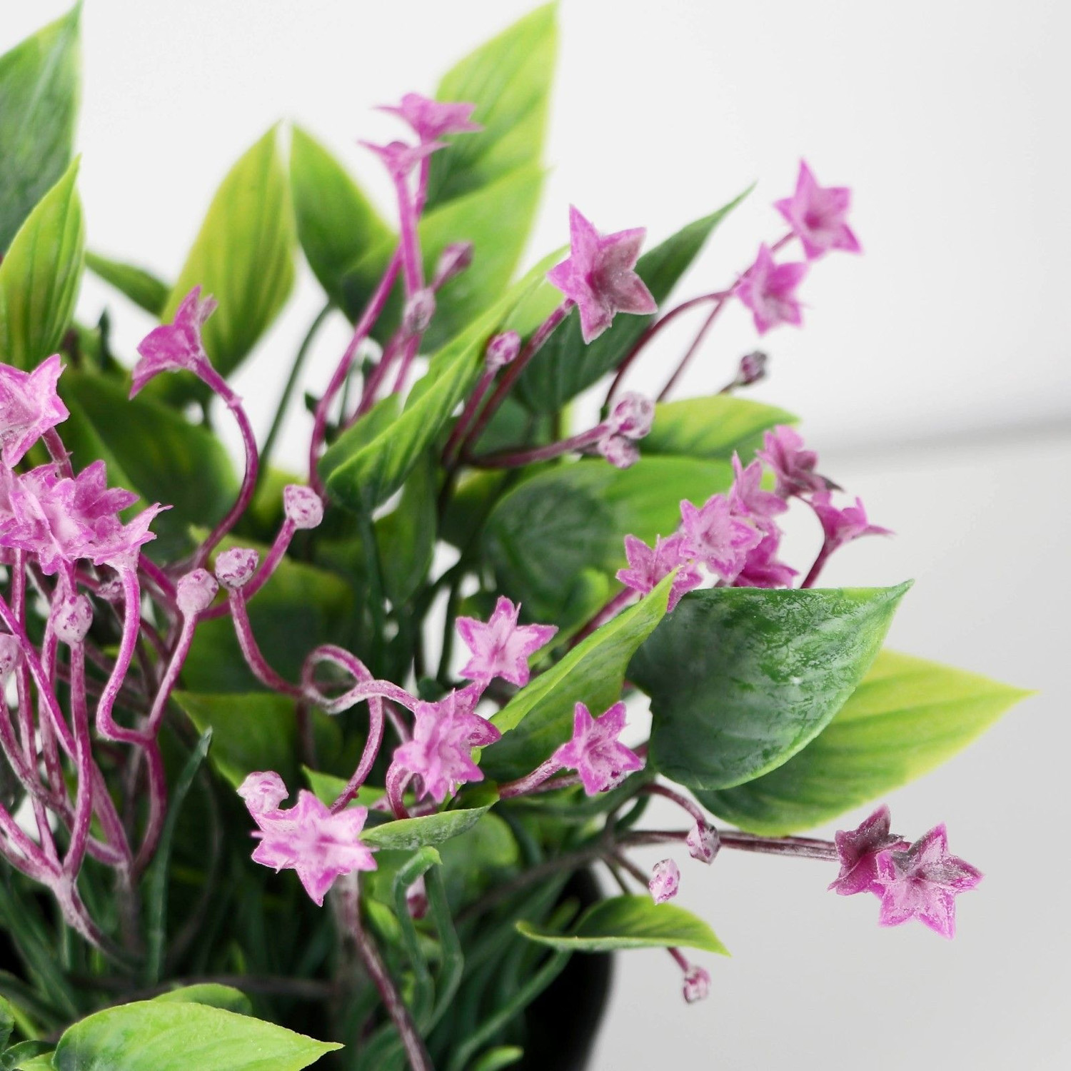 Бонсай в горшке "Кислица люкс" 7х14 см, микс   9750539