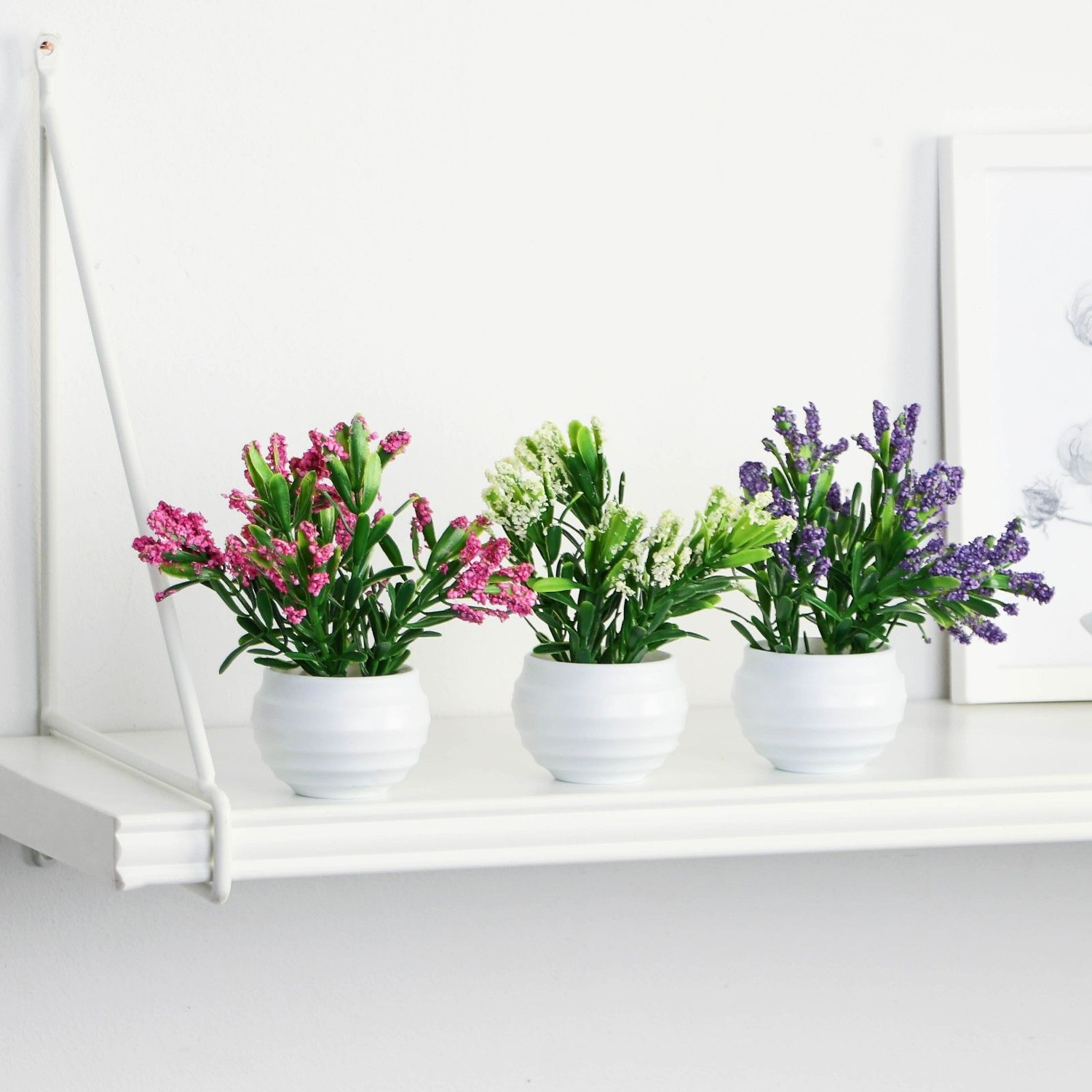 Бонсай в горшке "Крассула" 5,5х11 см, микс   9789745