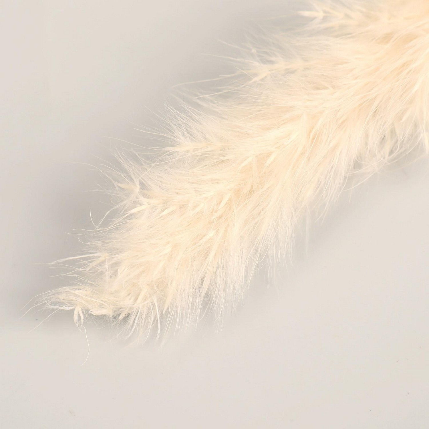 Декор сухоцвет "Кортадерия" 65 см, белый   7081262