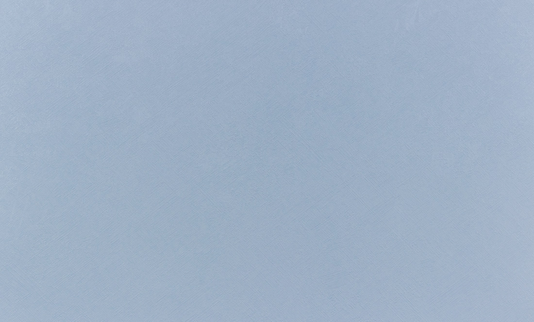 яяяОбои винил "AS Палитра" 80003-65 0.53*10  *12