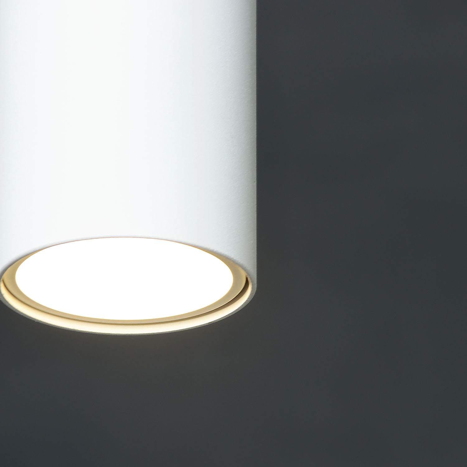 Светильник подвесной (спот) NFS-P-001-01 GU10 93353   *1/50