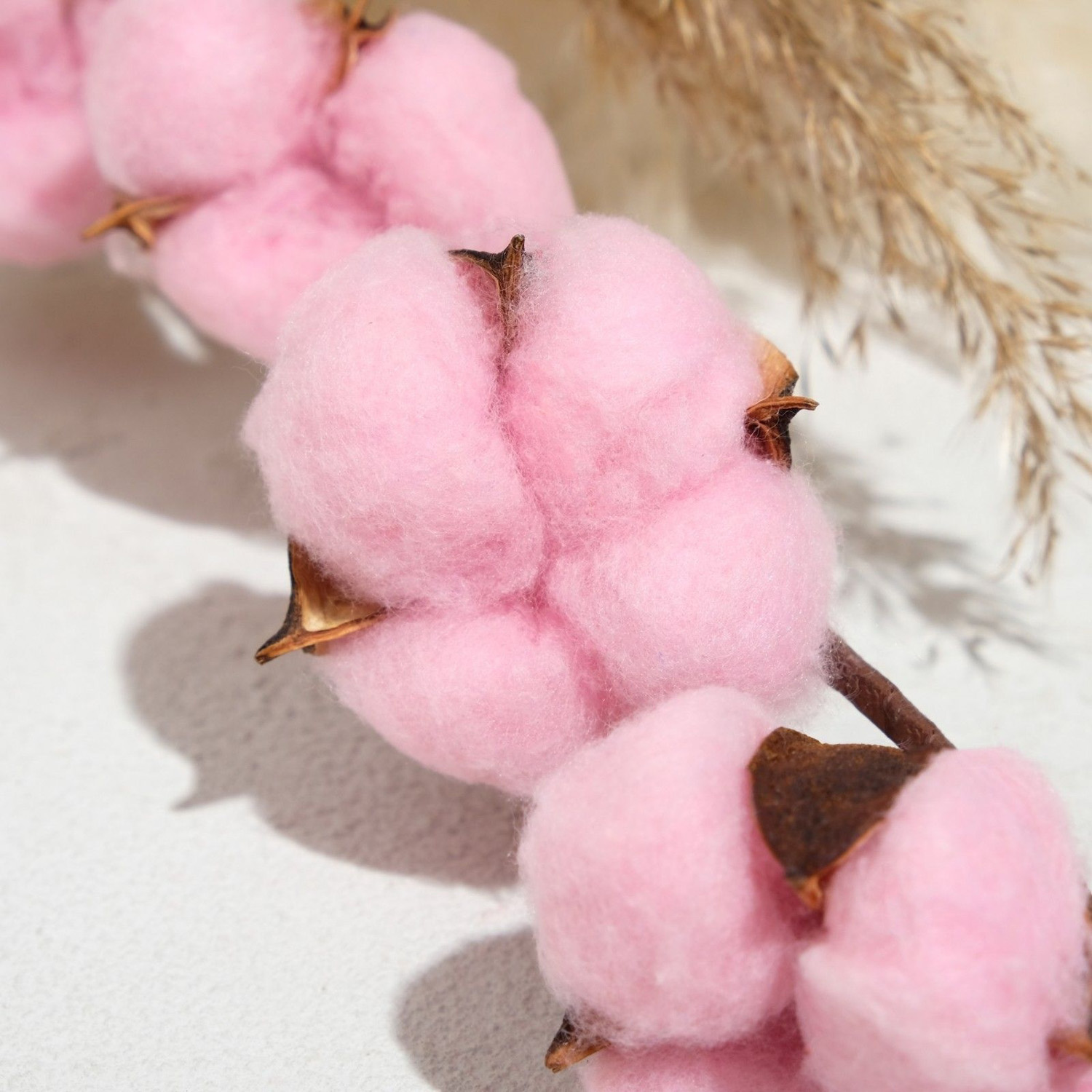 Декор сухоцвет "Хлопок"Розовый  d-5 см, 70 см    7598091