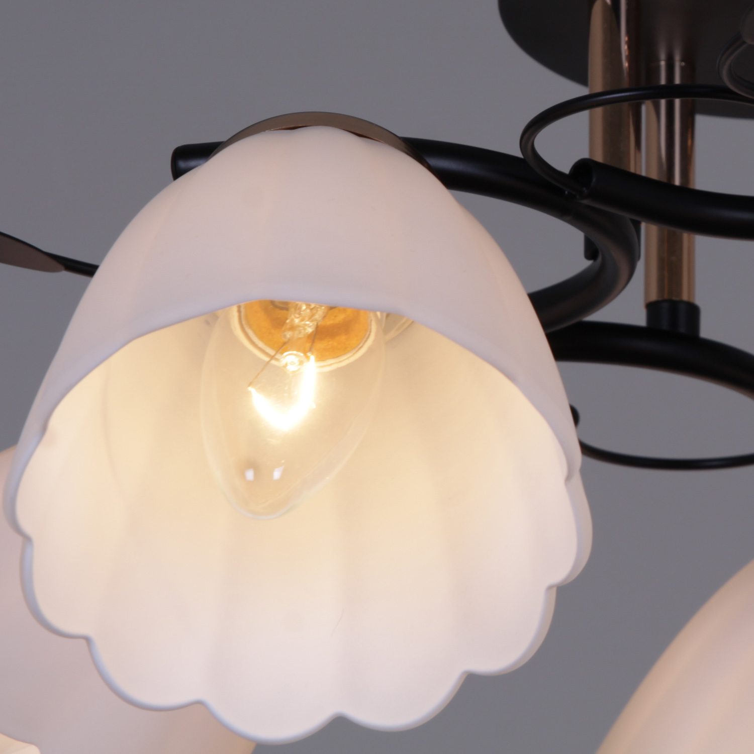 Люстра 10134-0.3-05 BK+FG Е27 40Вт S=30м2  *1