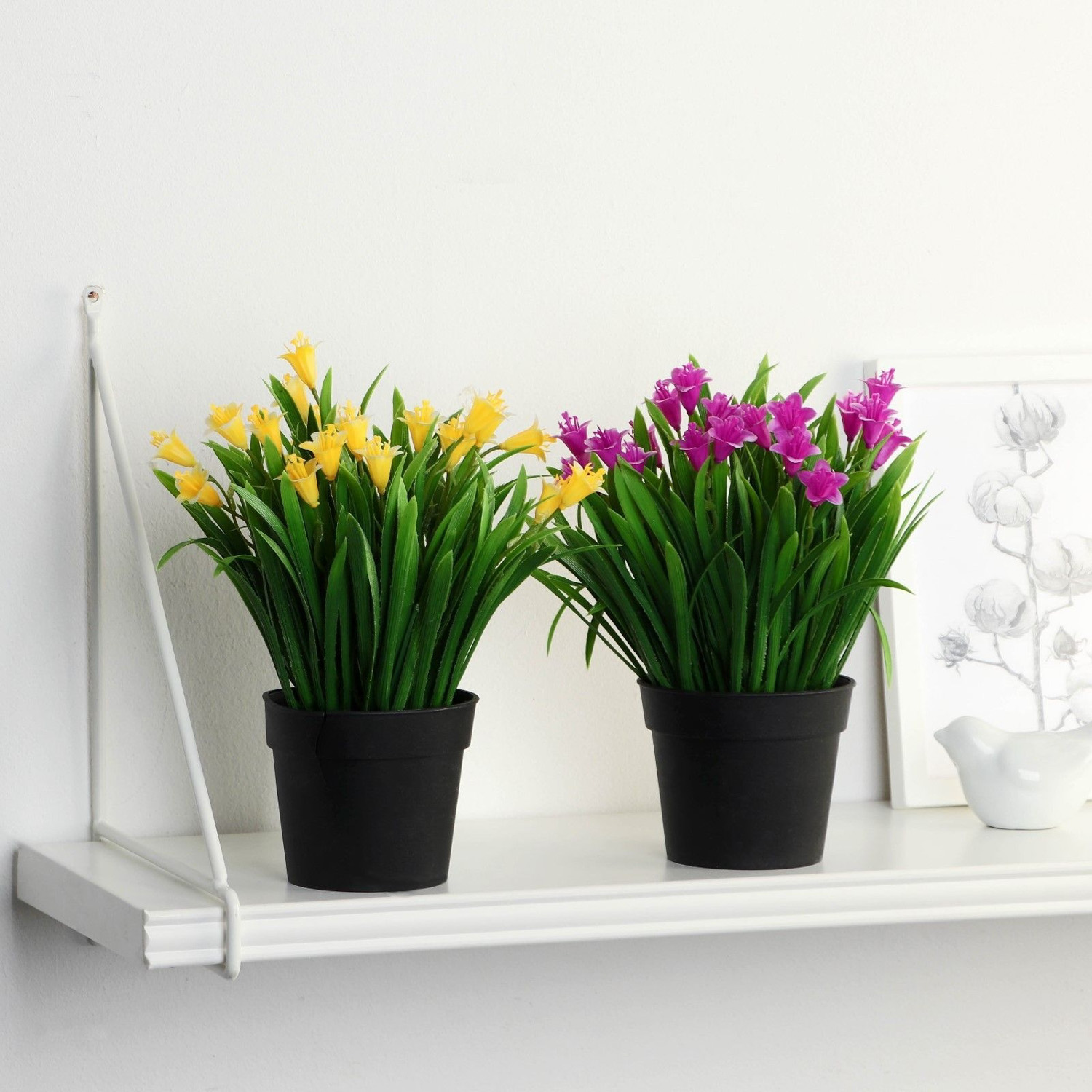 Бонсай в горшке "Гусмания и зелень" 9х18 см   9750513