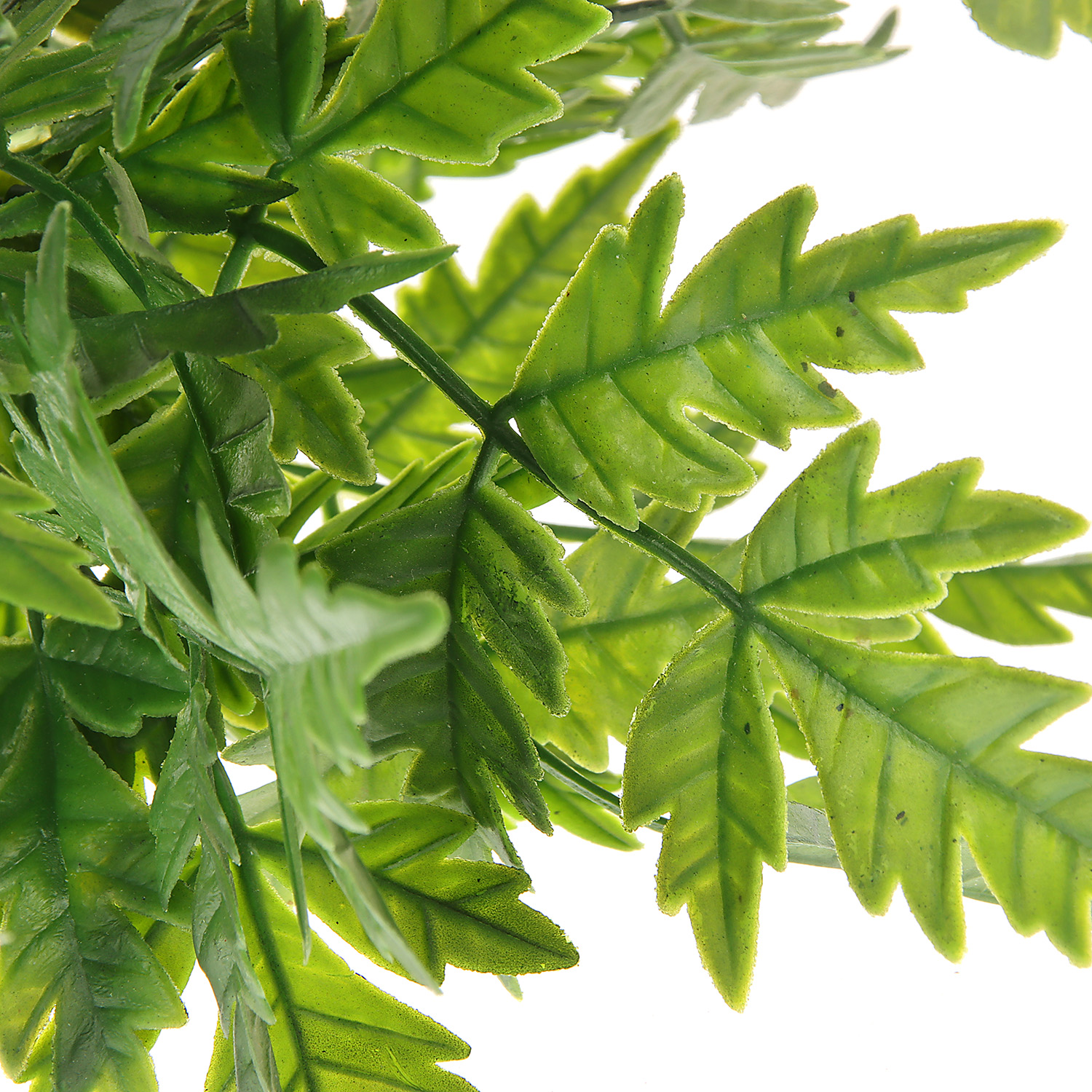 Букет "Филодендрон изящный" 27 см, зелёный   9499379