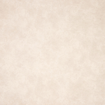 Обои  флиз. "Эрисманн" Profi Deco Maison фон (беж.) 60846-04 10.05х1.06м *6