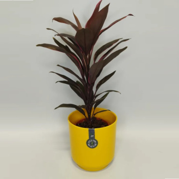 Кашпо пластм. "Дельта" 4,4л d верха 190мм h185мм со вставкой Медовый Д19-34 *1/8