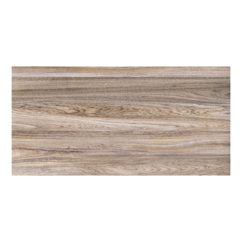 Плитка настенная Dublin 249*500*7,5 (0,1245*12=1,494*54) TWU09DBL404 Alma Ceramica